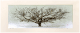 Silver Tree by Joichi Hoshi