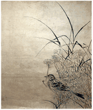 Sparrow and Reeds Unsigned Hand Drawing