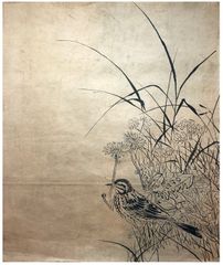 Sparrow and Reeds Unsigned Hand Drawing