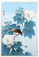 Spider and Fly Catcher by Ohara Koson 1st Ed.