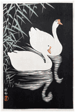 Swan and Reeds by Ohara Koson