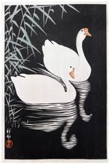 Swan and Reeds by Ohara Koson