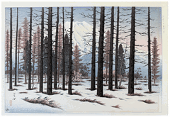 Mt Fuji from Yamanaka by Takashi Ito