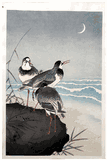 Three Plovers by Ohara Koson