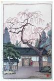 Cherry Blossom by the Gate Toshi Yoshida