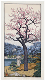 Plum Tree Toshi Yoshida