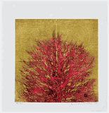 Treetop Red by Joichi Hoshi