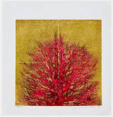 Treetop Red by Joichi Hoshi