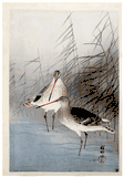 Two Bar Tailed Godwits in Shallow Water and Reeds by Ohara Koson