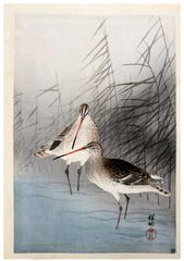 Two Bar Tailed Godwits in Shallow Water and Reeds by Ohara Koson