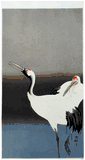 Two Cranes by Ohara Koson