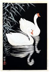Two Geese Swimming Near Reeds by Ohara Koson Pre WWII