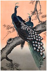 Two Peacocks on a Branch by Untan