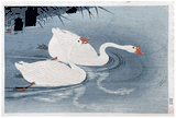 Two Swan and Reeds by Ohara Koson 1st Ed,
