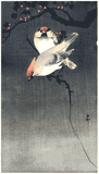Two Waxwing by Ohara Koson