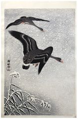 Two White Fronted Geese Flying in Snow by Ohara Koson