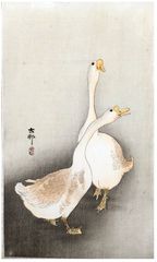 Two White Geese by Ohara Koson