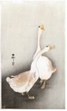Two White Geese by Ohara Koson