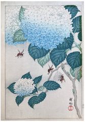 Wasps and Hortensia by Ohara Koson