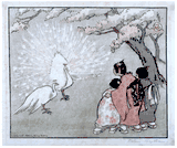 White Peacock by Helen Hyde