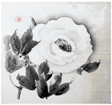 White Rose by Nagamachi Chikuseki