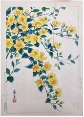 Yellow Peonies by Nishimura Hodo