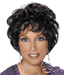 Vivica Fox/Beverly Johnson Hand-Made Pure Strecht Wig Jai
