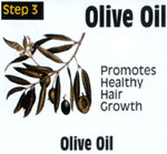 Maxi Olive Oil 4oz