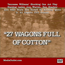 27 Wagons Full Of Cotton Ray Sharkey Lesley Warren Peter Boyle MP4 DVD