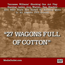 27 Wagons Full Of Cotton Ray Sharkey Lesley Warren Peter Boyle MP4 DVD