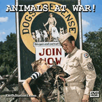 Animals At War: Animals In The Military + Bonus Title MP4 Download DVD