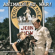 Animals At War: Animals In The Military + Bonus Title MP4 Download DVD Animals At War: Animals In The Military + Bonus Title MP4 Download DVD