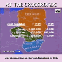 At The Crossroads Jews In Eastern Europe Post 1989 Revolutions MP4 DVD
