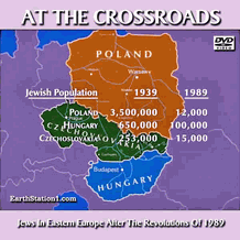 At The Crossroads Jews In Eastern Europe Post 1989 Revolutions MP4 DVD