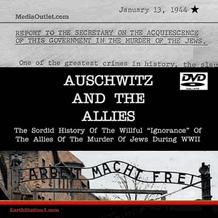 Auschwitz And The Allies 2 Part TV Series DVD, Download, USB Drive