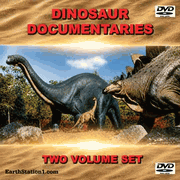 Dinosaur Documentaries MP4 Video Download 2 DVD Set