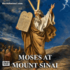 Moses At Mount Sinai Biography Documentary MP4 Video Download DVD
