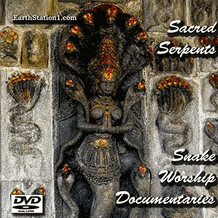 Sacred Serpents: Snake Worship Documentaries DVD, MP4, USB Drive