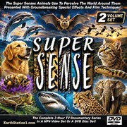 Super Sense Animal Perception/Plant Adaptation TV Series DVD, MP4, USB