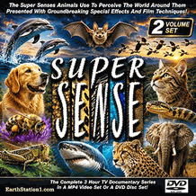 Super Sense Animal Perception/Plant Adaptation TV Series DVD, MP4, USB