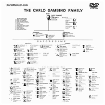 The Gambino Crime Family: American Mafia Dons MP4 Video Download DVD