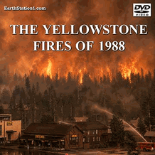 The Yellowstone Fires Of 1988 Documentary DVD, Download, USB Drive