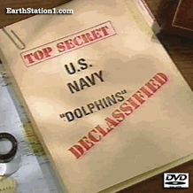 Top Secret: U.S. Navy Dolphins Declassified DVD MP4 Download USB Drive
