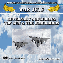 War Jets: Adversary Squadrons: Top Gun & The Blackbirds DVD, MP4, USB War Jets: Adversary Squadrons: Top Gun & The Blackbirds DVD, MP4, USB