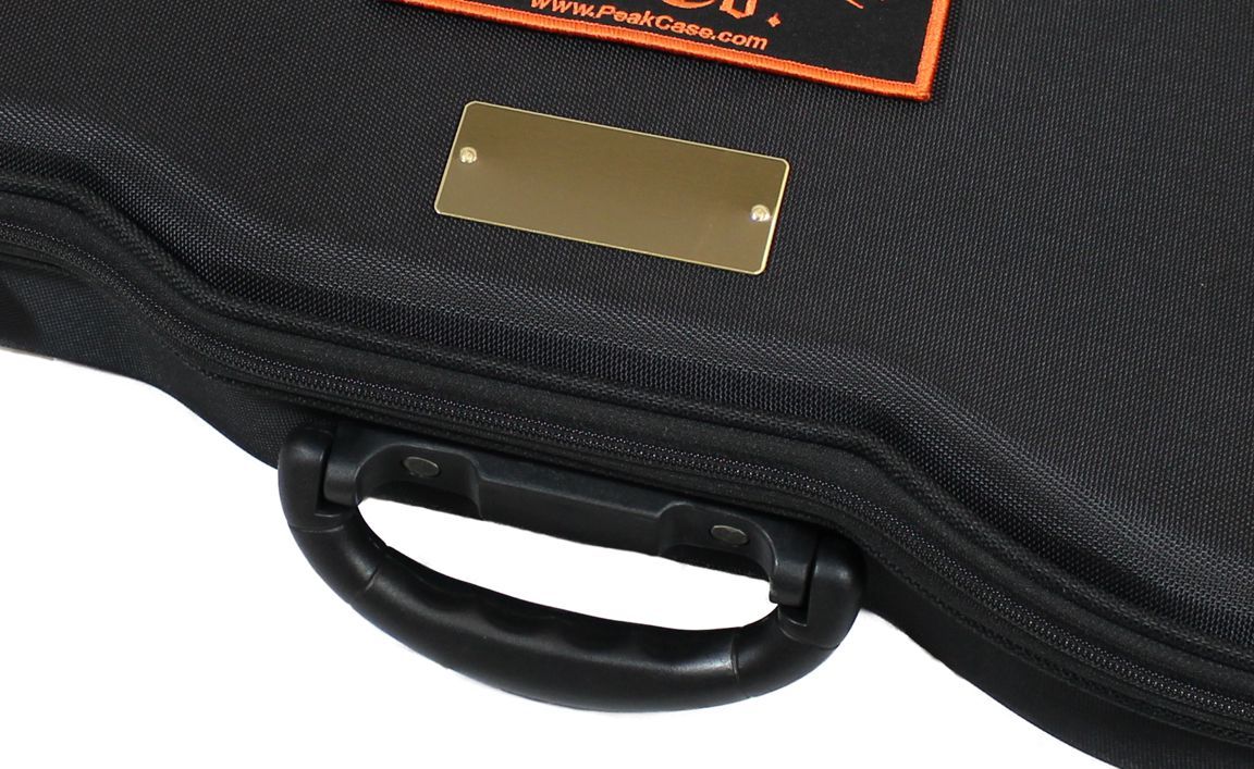 Violin Gun Case
