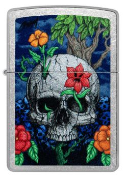 Zippo Skull Design (Retail $26.95)