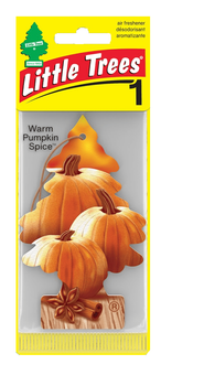 Little Trees Air Freshener 24/bx Warm Pumpkin Spice