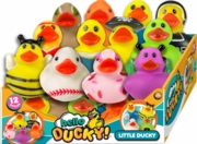 Hello Ducky! Little Ducky 24/Display