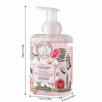 Chateau Propre Foaming Hand Soap 16.9 fl oz Salted Caramel & Pistachio 12/display