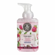 Chateau Propre Foaming Hand Soap 16.9 fl oz Dragonfruit & Jasmine 12/display
